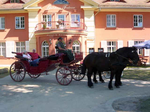 Altes Gutshaus-Federow Hotel Eksteriør billede